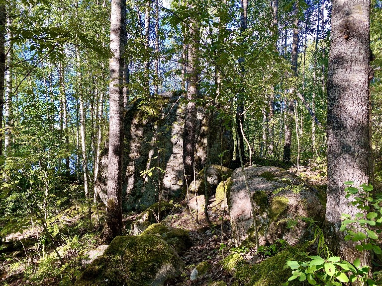 ленинградская область, п. Васильево