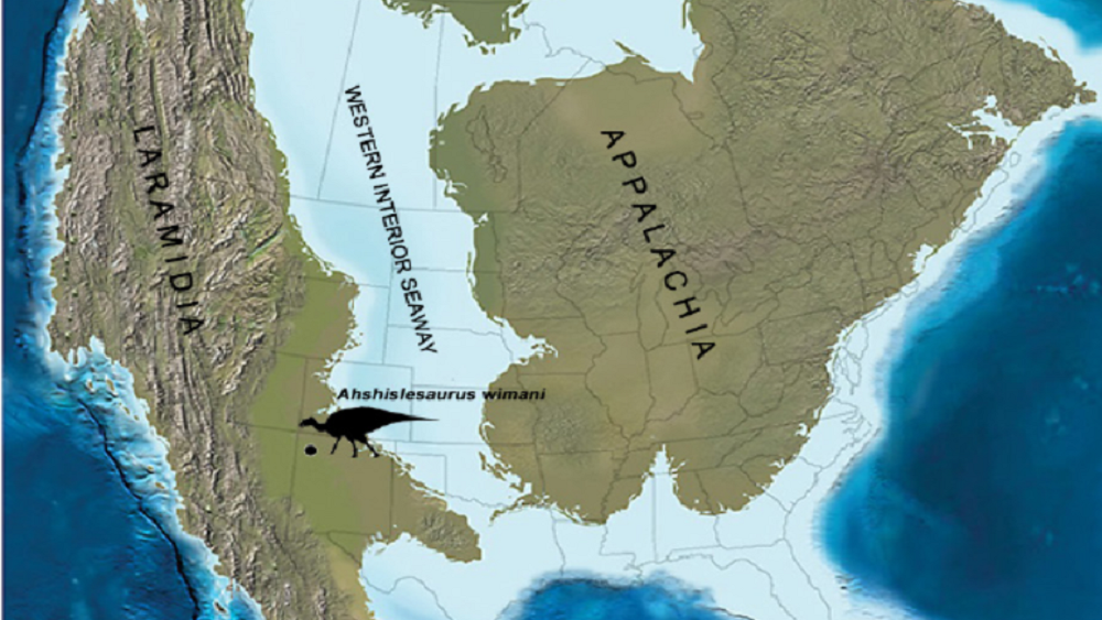 9-тонный гигант: обнаружен новый вид динозавра с утиной мордой