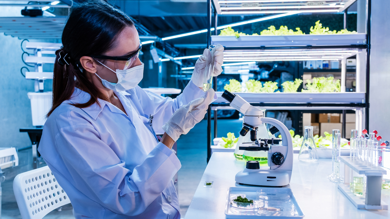 Китай запустил аналог «Генома человека» для растений