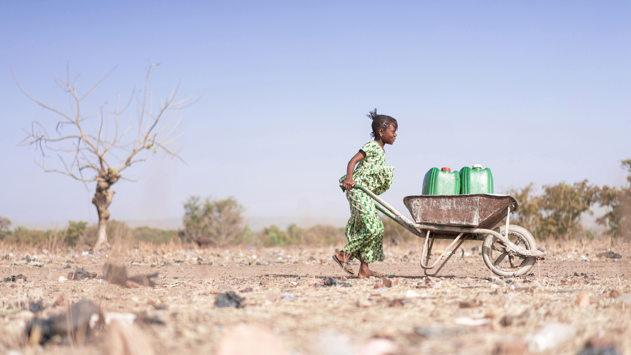 Мир вступил в эпоху «водного банкротства»: объявление ООН