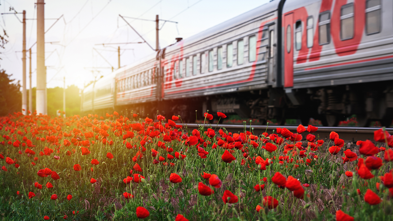 РЖД показал новые вагоны СВ с цифровыми экранами и двухметровыми полками