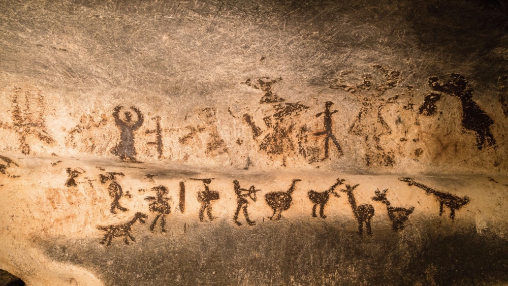 Обнаружены самые древние породы собак возрастом 11 000 лет