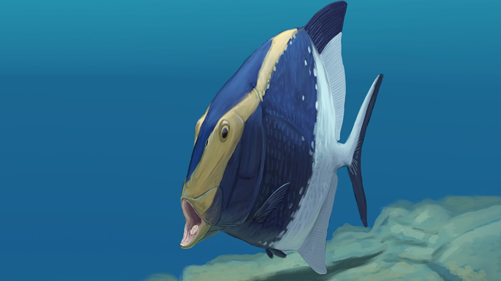 Древнюю рыбу с двумя челюстями нашли в Британии