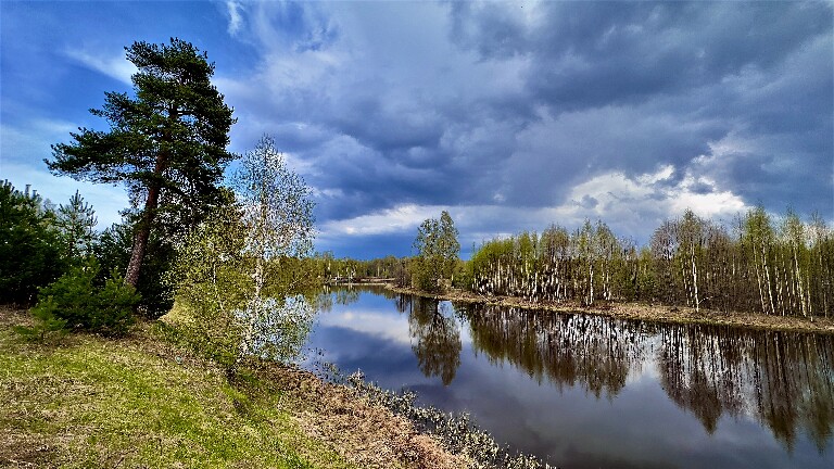 Костромская область, весна