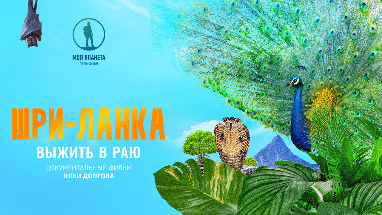 «Шри-Ланка: выжить в раю»: премьера документального фильма на «Моей Планете»