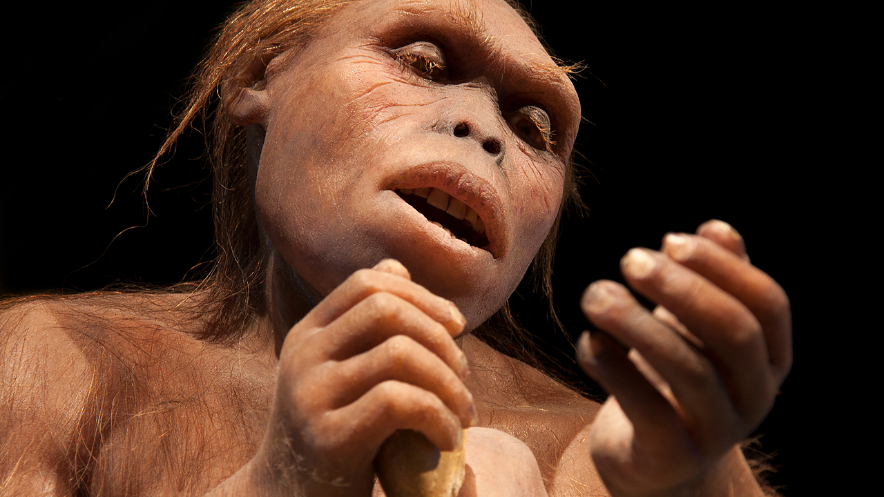 Первый гибрид: в Израиле нашли подтверждение связи неандертальцев и сапиенсов