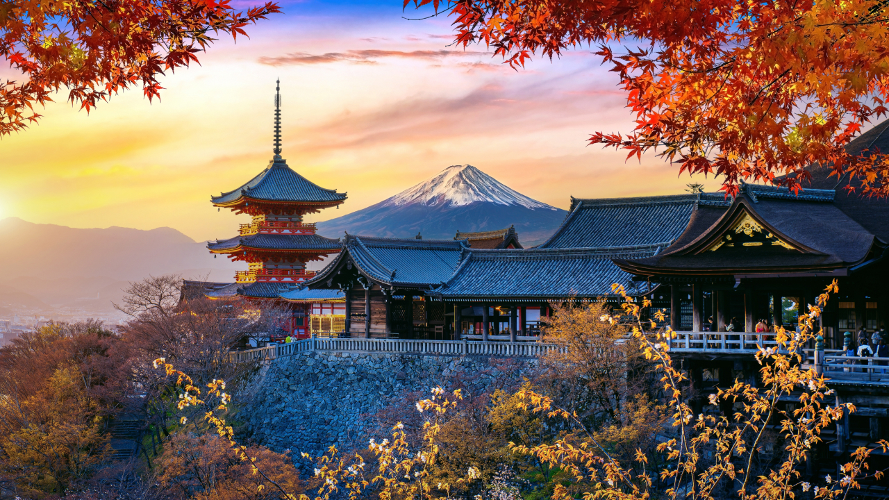 Япония упростит процесс оформления для россиян: планируются новые визовые центры