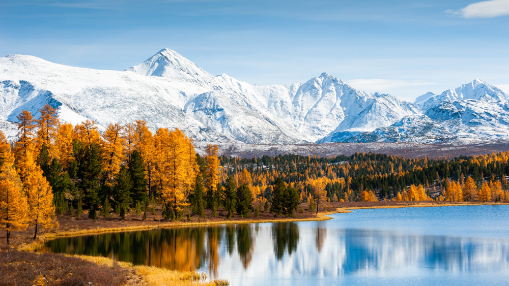 Пик арктического похолодания в России: что ждать в ближайшие дни