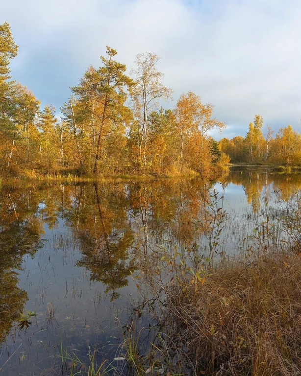 Осенние пейзажи