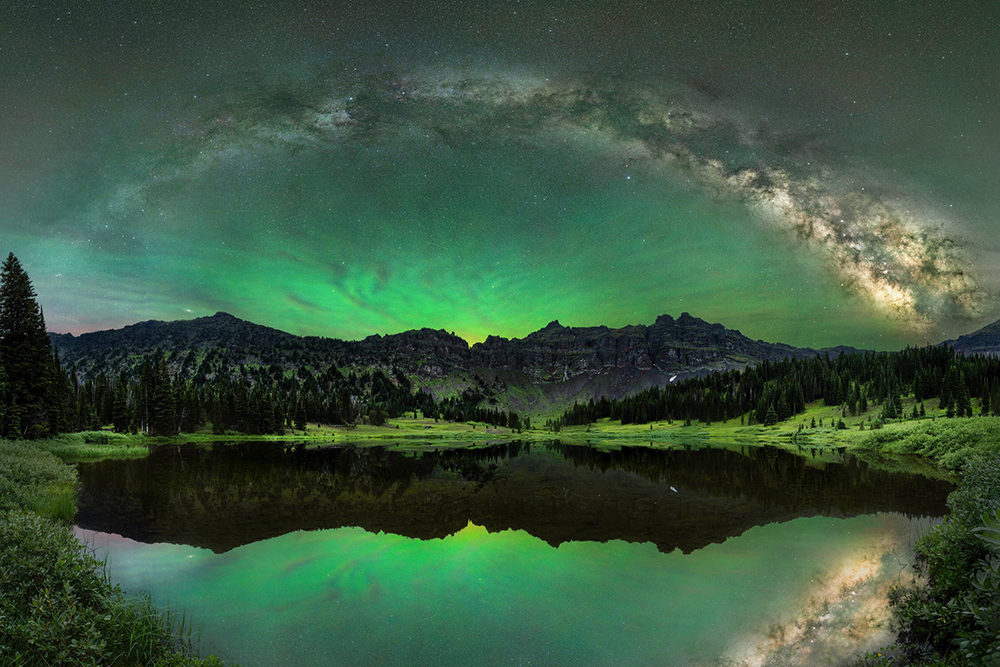 Добыча паука и бесконечность космоса: кто победил на World Nature Photography Awards