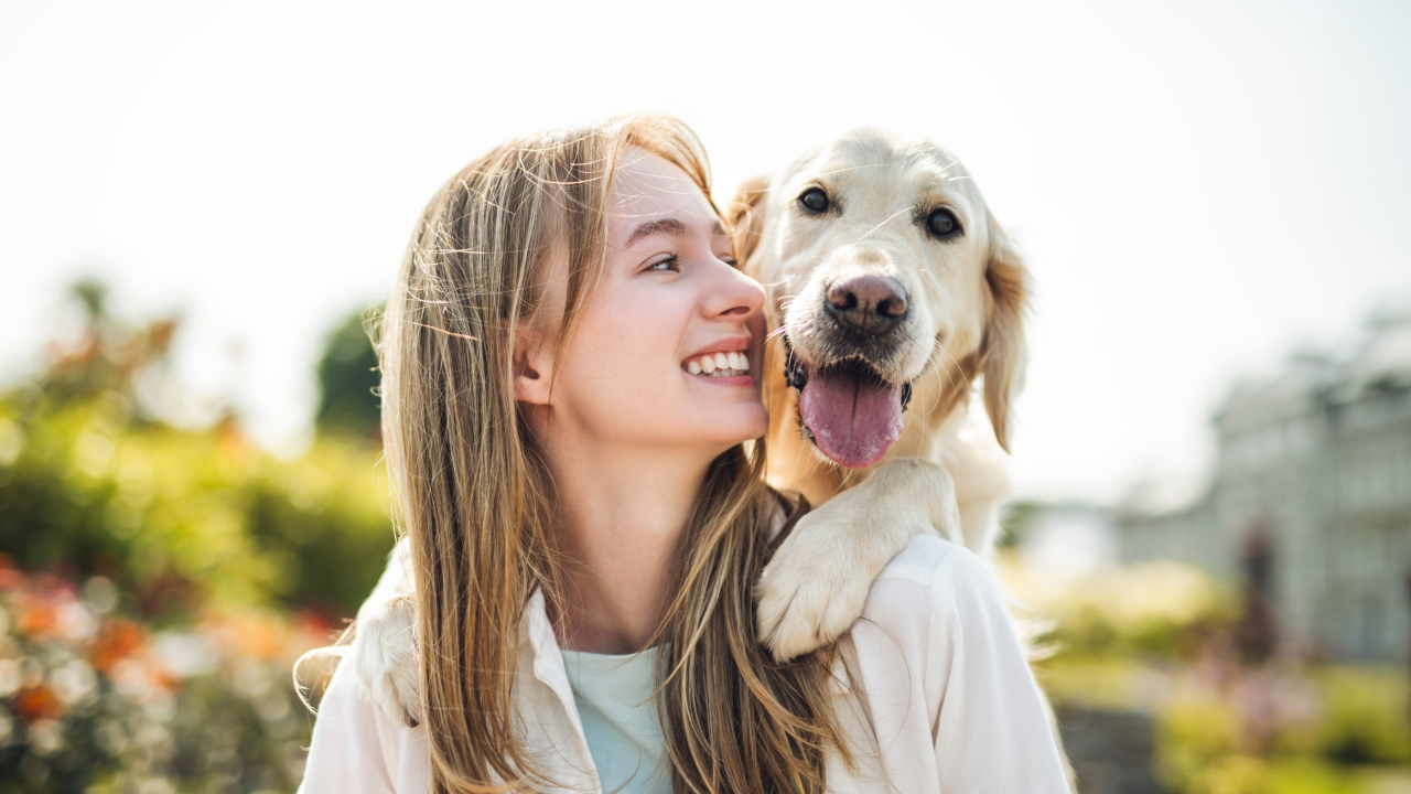 Сколько россияне тратят на собак — выяснили кинологи