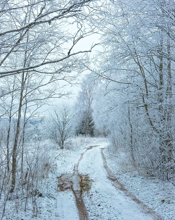 Осеннее серебро