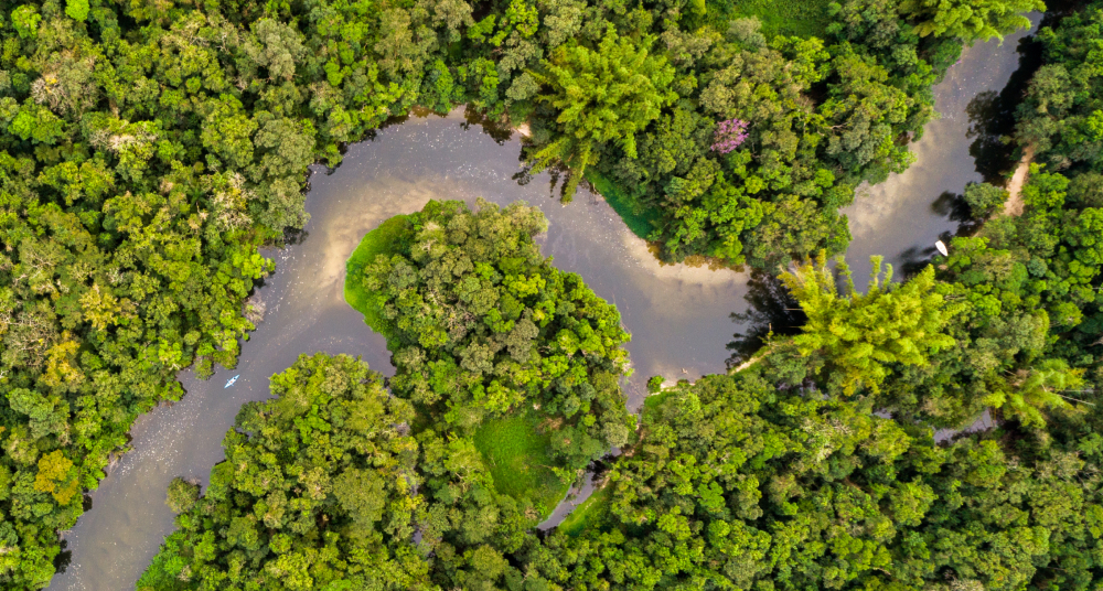 Черные озера в Африке начали выбрасывать древний углерод