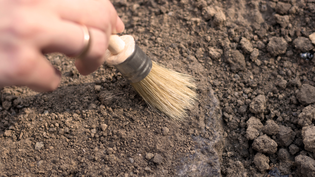 Крупный клад конца X века в Новгороде: что скрывали 40 серебряных бус