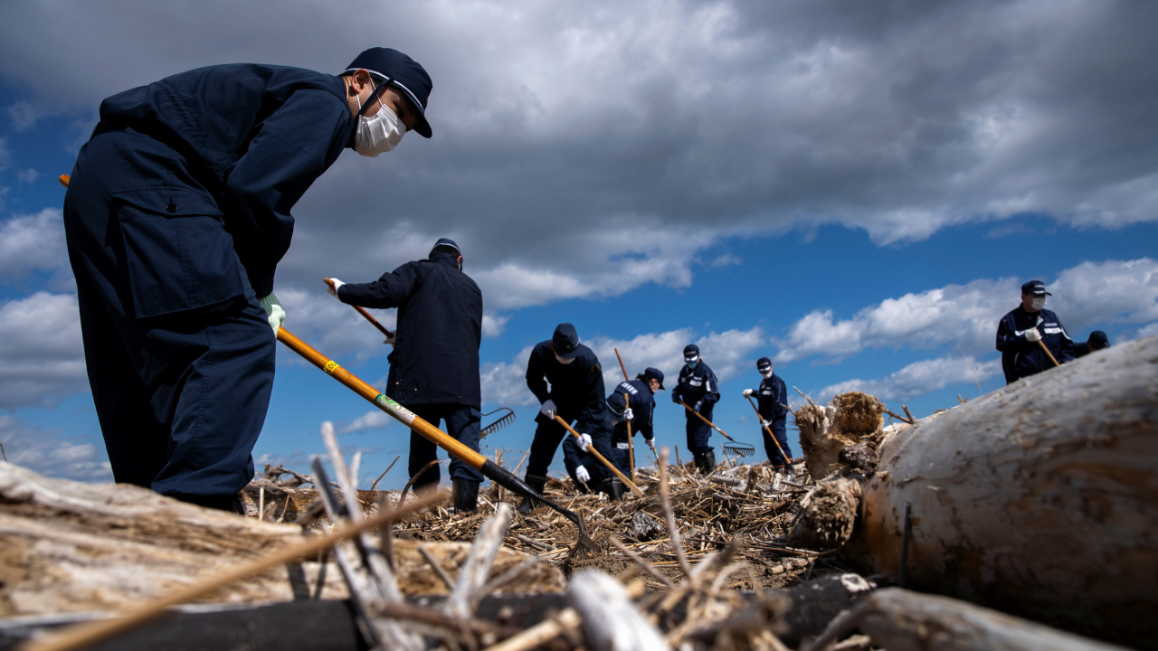 Геологи выяснили, что вызвало мегаземлетрясение и цунами, разрушившее Фукусиму