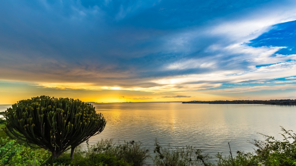 Высыхающее озеро в Кении стало причиной наводнения из-за изменения климата