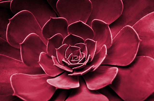 Назван главный цвет 2023 года