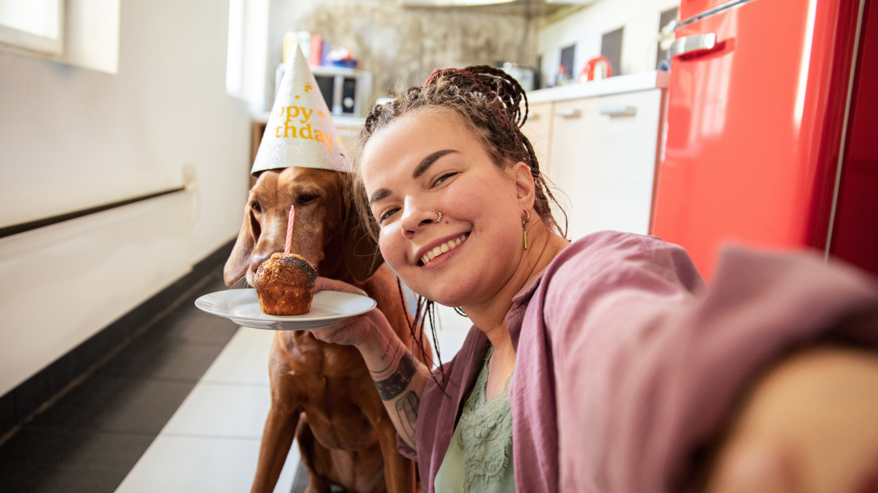 1 к 7: почему мы считаем возраст собак неправильно