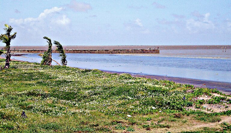 Гайана. Феномен Карибского моря. Убийственная волна