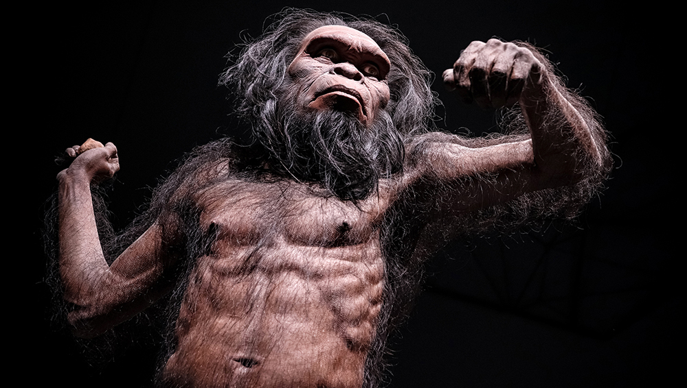 Форма нашего лица, оказалось, зависит от генов, доставшихся от неандертальцев 
