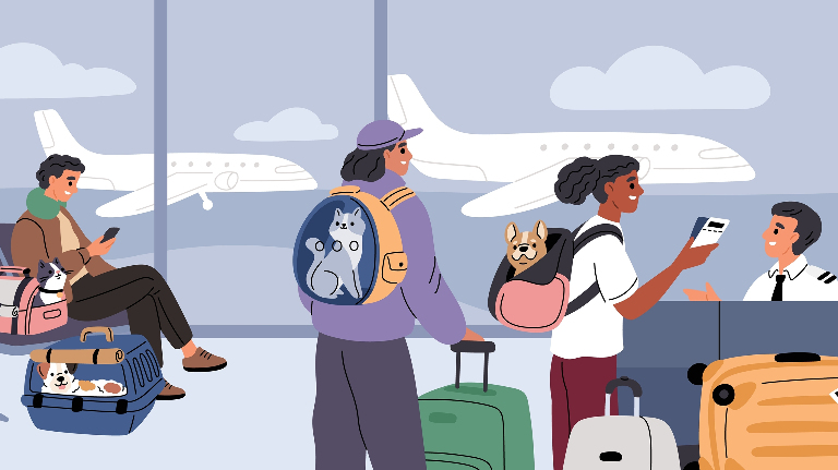 Хвостатый попутчик: как путешествовать с животными на поездах и самолетах
