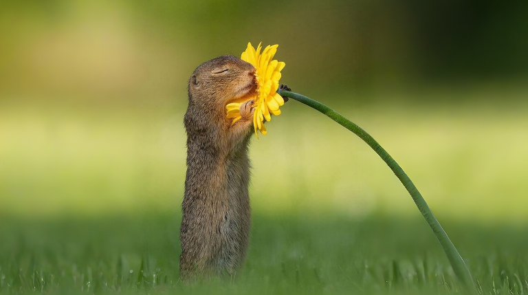 Как изменение климата меняет запахи на Земле