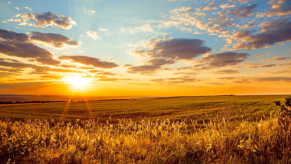 Синоптики рассказали, когда придет бабье лето