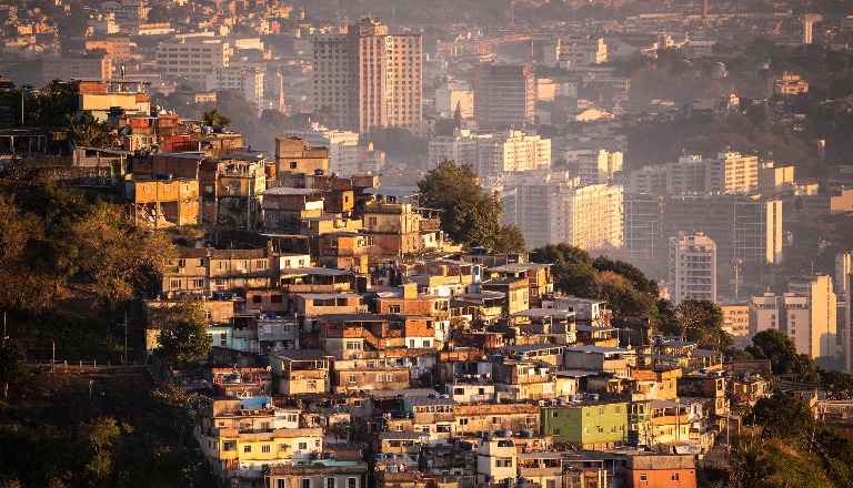 Рио-де-Жанейро: два вида джунглей, где выживают по своим правилам