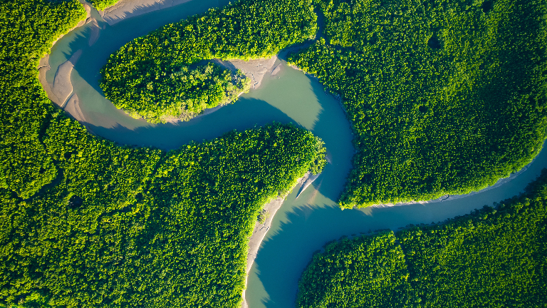 Почему одни реки делятся на рукава, а другие — нет