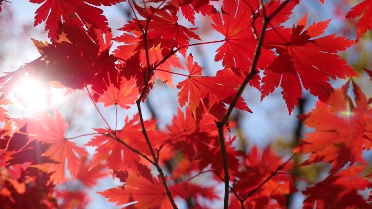 Корейский Сораксан