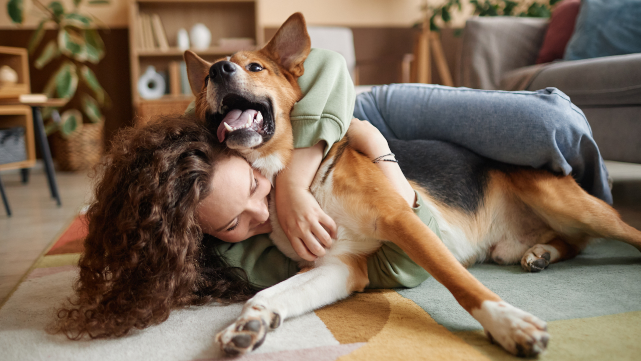 Счастье братьев наших меньших: миф или научный факт