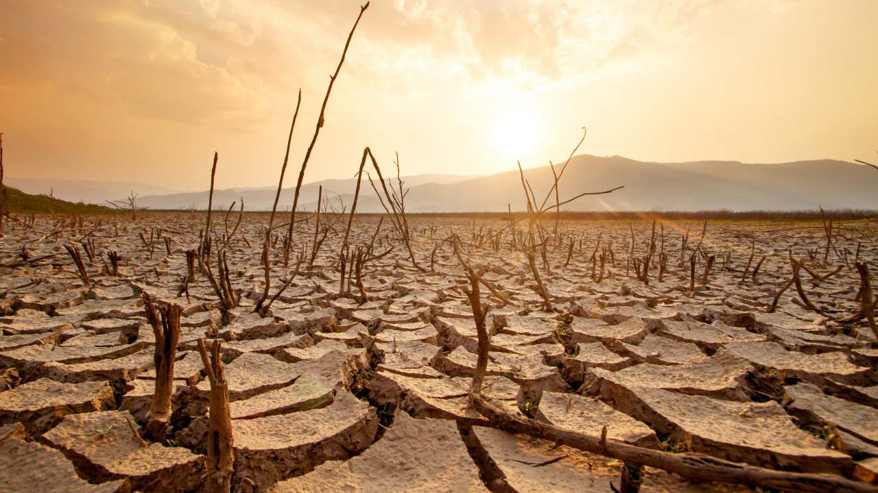 Ученые раскрыли древнюю катастрофу Красного моря