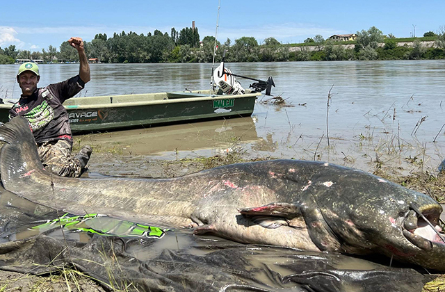 Рыбак поймал, похоже, самого длинного сома в мире: фото