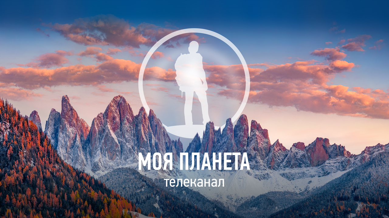 Эксклюзивные показы и встречи с ведущими: «Моя Планета» примет участие в выставке «Поехали 2025»