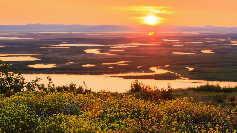 Югра: зачем ехать в главный нефтяной регион России