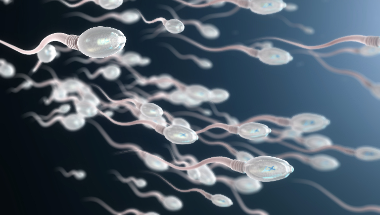 Как плавают сперматозоиды