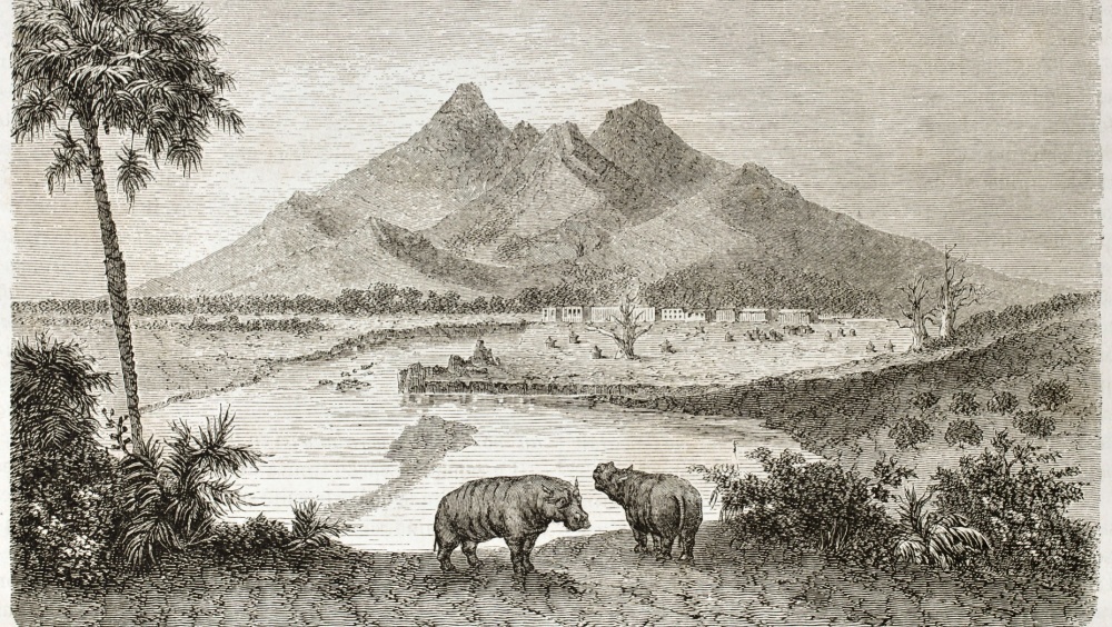 Ледниковый парадокс: как бегемоты выжили в Европе рядом с мамонтами и шерстистыми носорогами