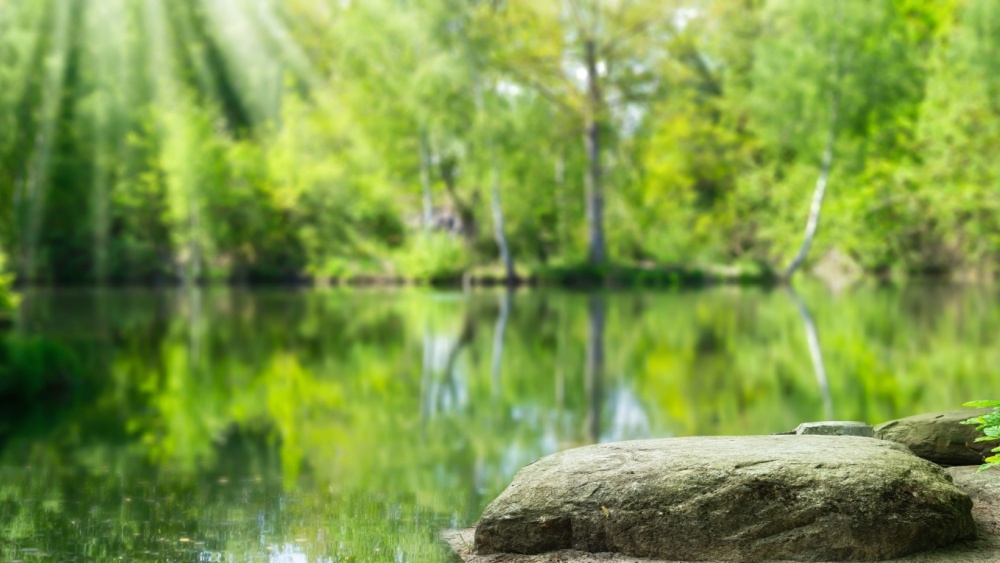 Озера захватывают вредоносные водоросли из-за изменения климата