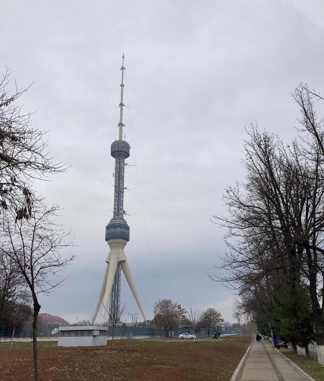 Башня, плов и дворец