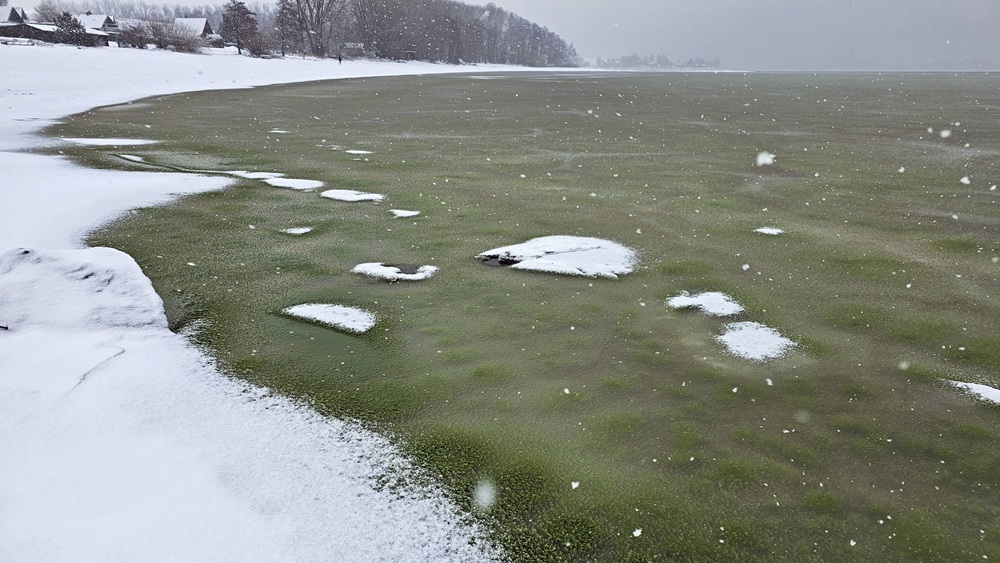 Лед на озере в Чехии внезапно стал зеленым: ученые объяснили редкое явление