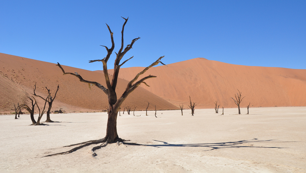 Ученые нашли точное место происхождения человечества