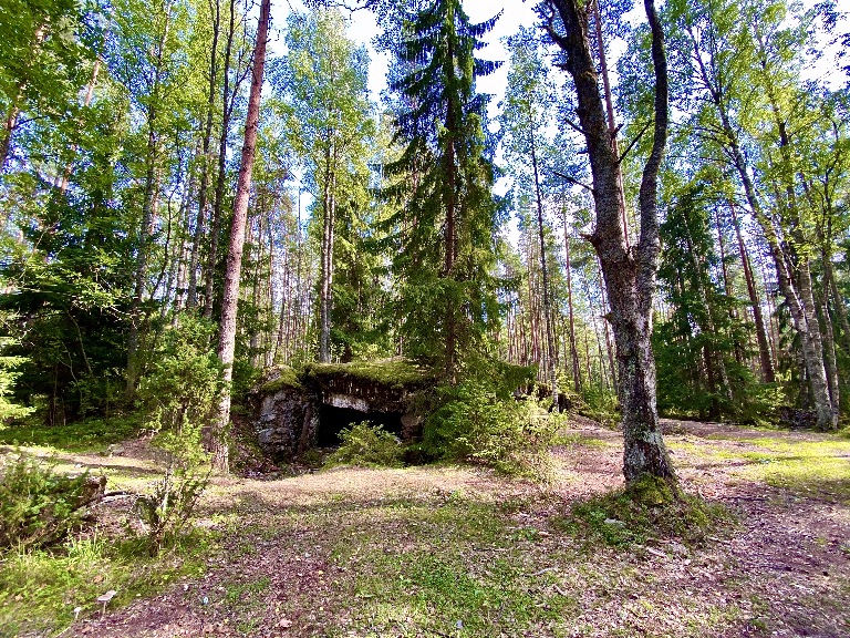 ленинградская область, приморский район, останки ДОТов линии Маннергейма