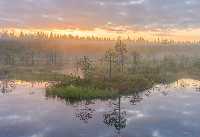 Сентябрьское утро