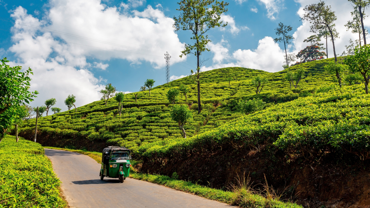 Новые правила въезда в Индию и на Шри-Ланку: что изменится для туристов