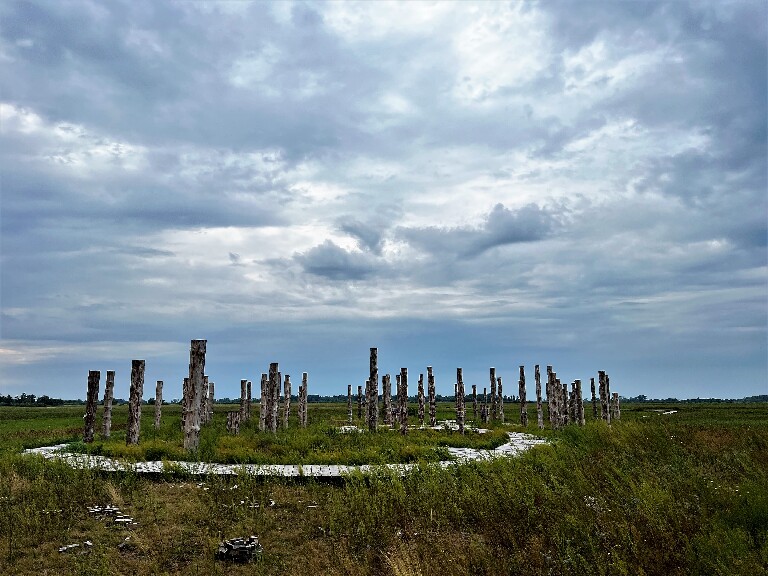 Курганская область, село Бузан, святилище Савин -1