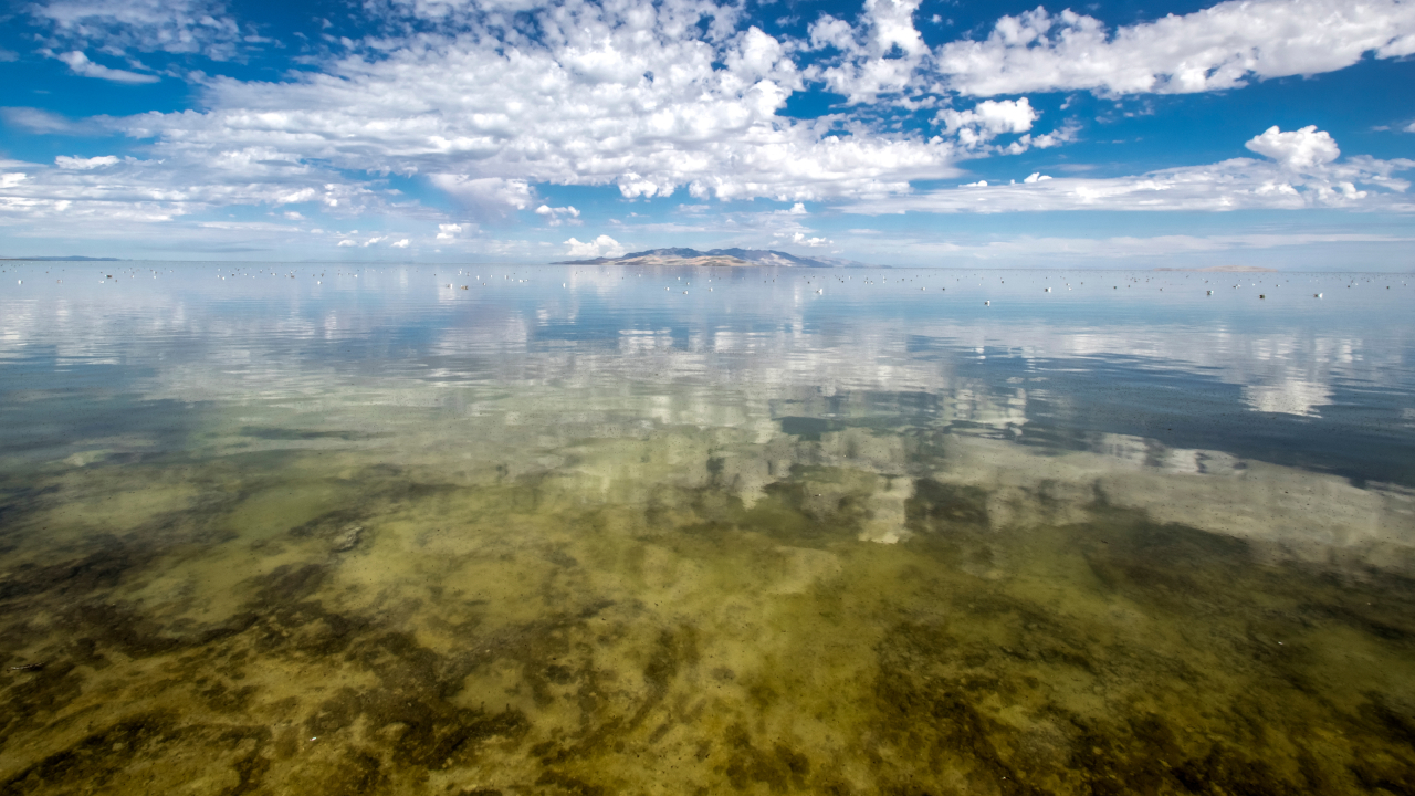 В уникальном соленом озере в США обнаружено неизвестное науке существо