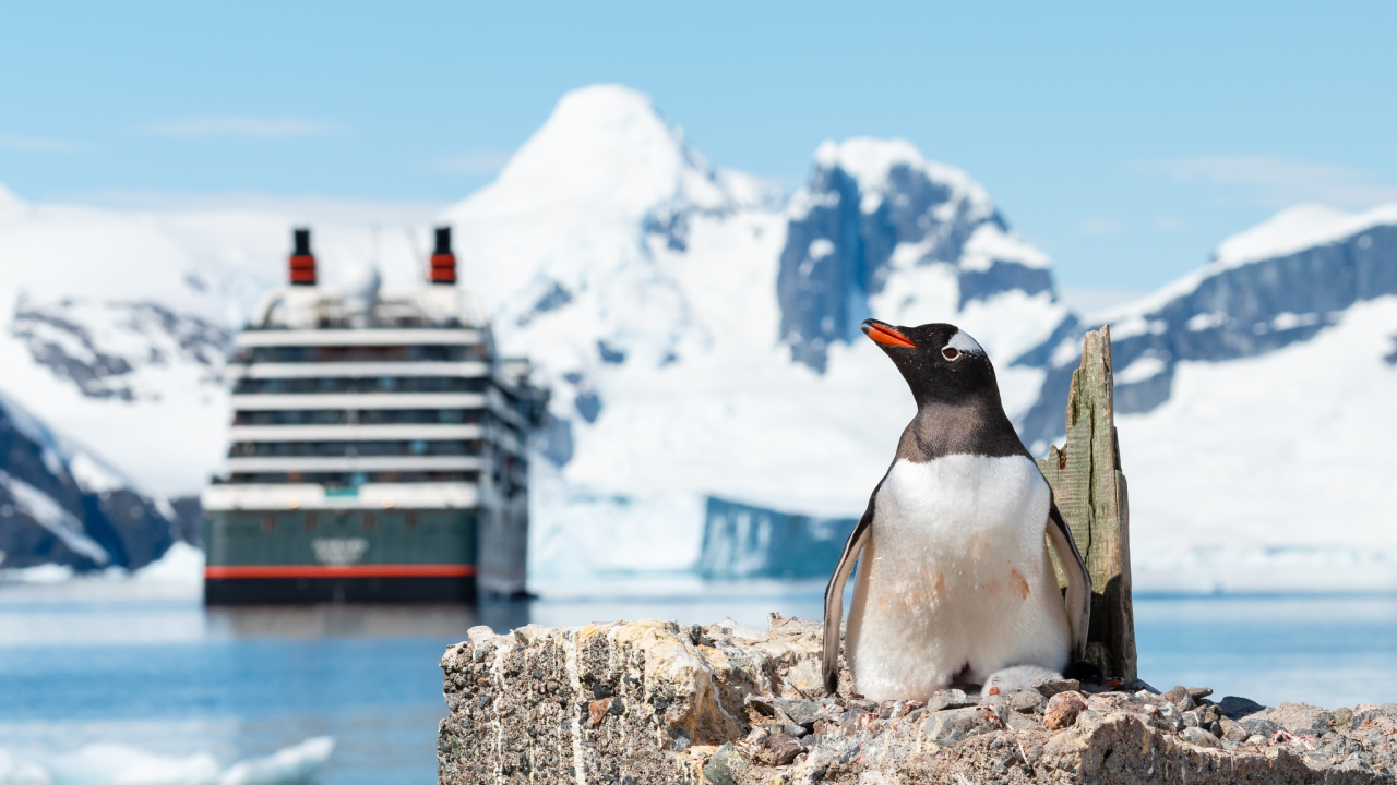 Ученые смоделировали будущее Антарктиды: от оптимистичного до катастрофического