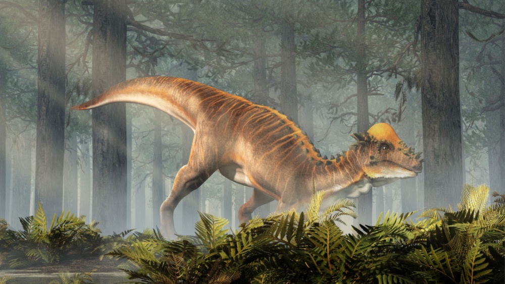 Нового купологолового динозавра нашли в Северной Америке