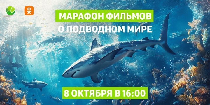 Тайны подводного мира — в марафоне фильмов «Живой Планеты»