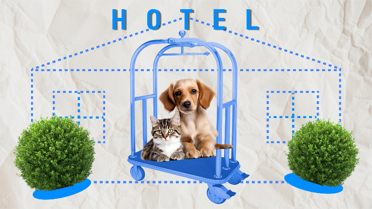 Где отдохнуть с питомцем: 5 лучших отелей и курортов Подмосковья